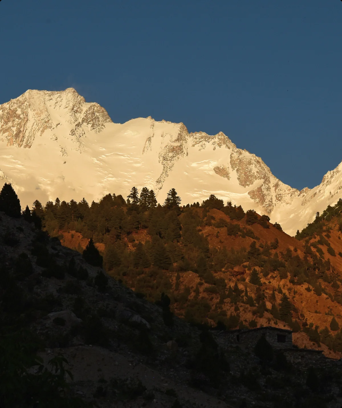 Nanga 0719 | © Michael Beek