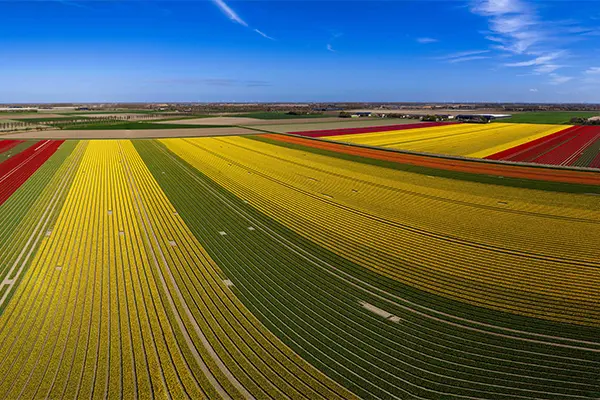 Maas Tulpenfelder | © Guus Reinartz