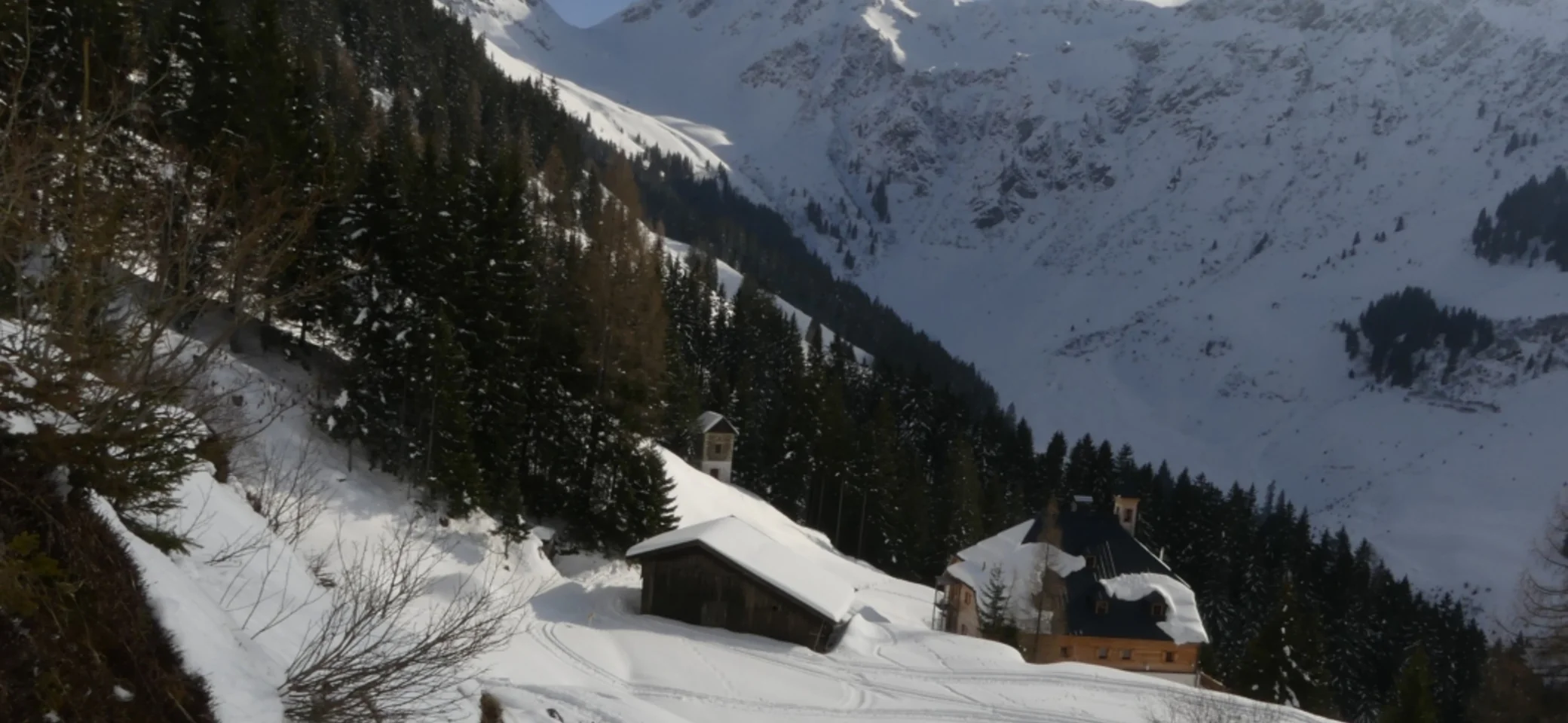 © Gisela Schöngraf