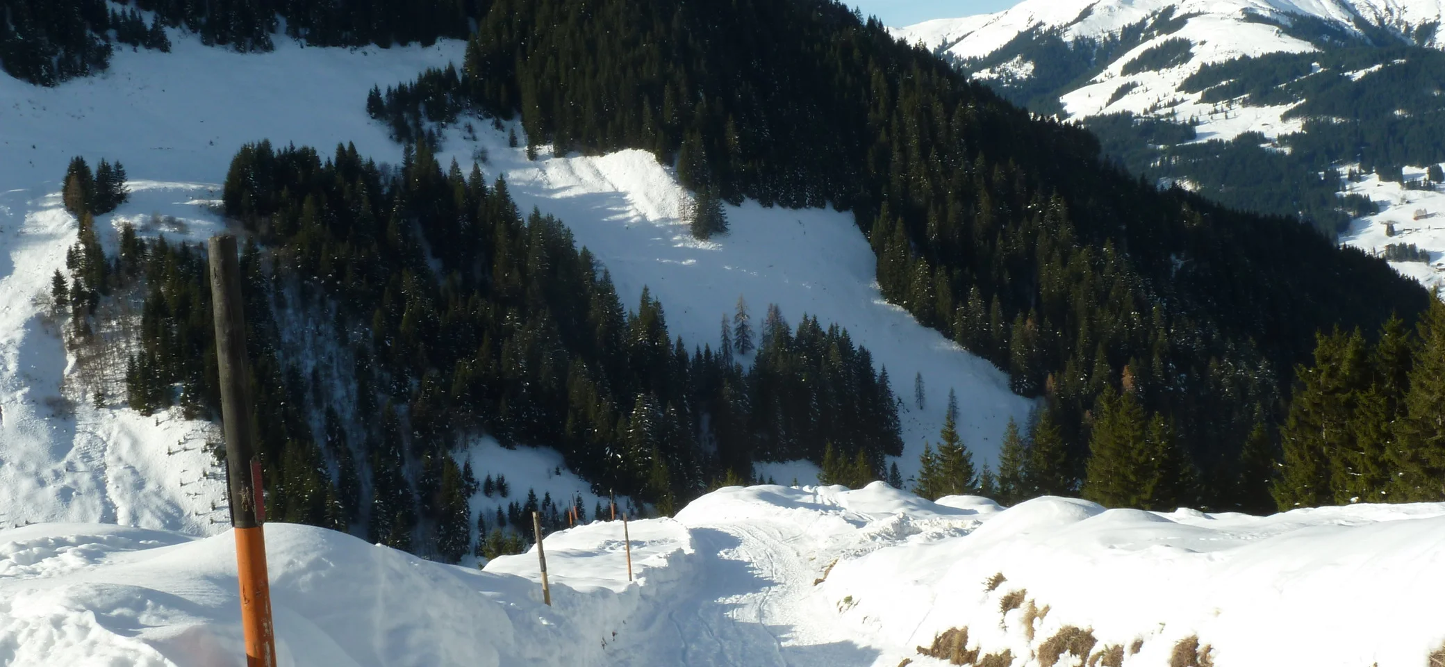 © Gisela Schöngraf