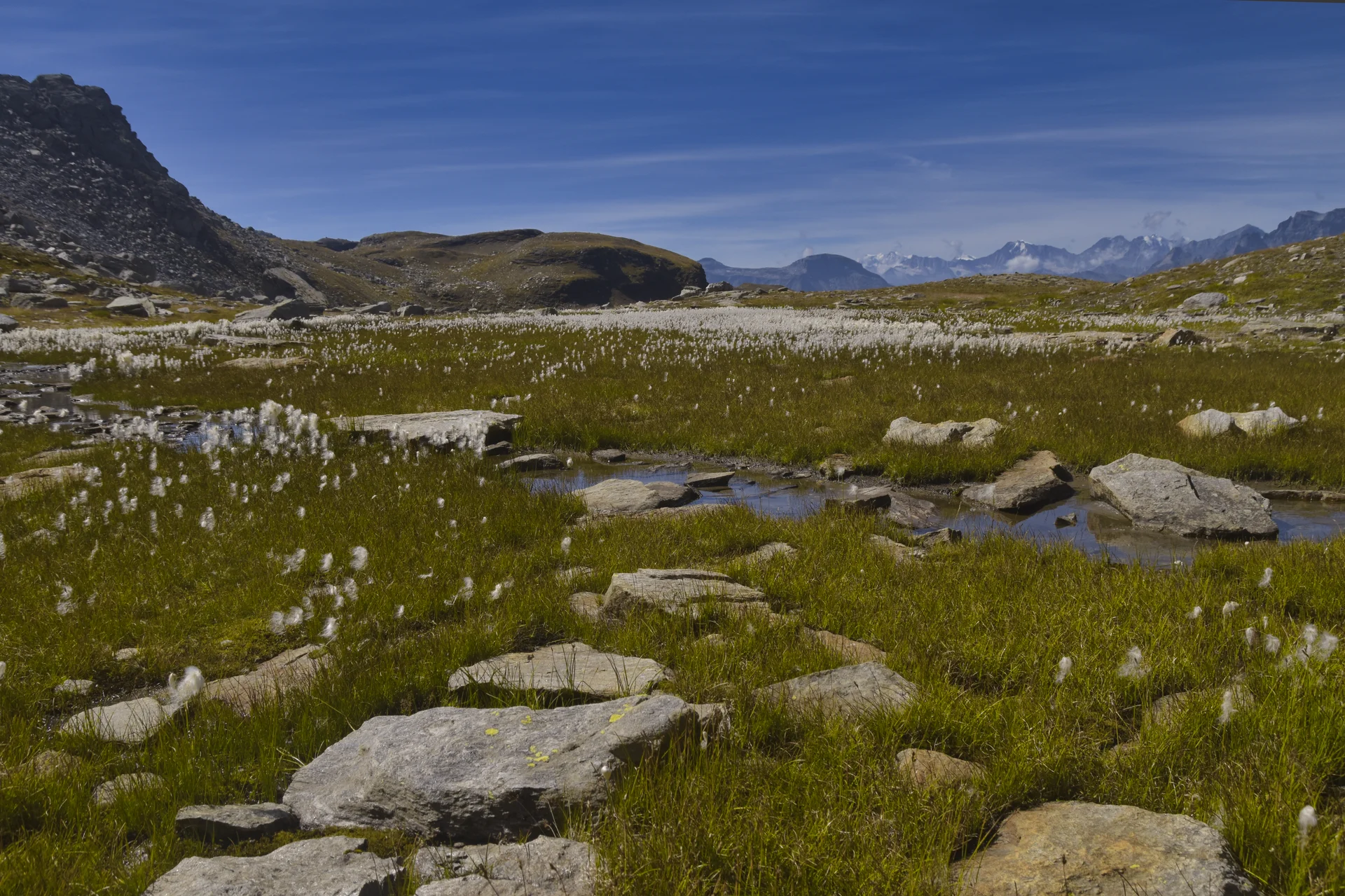 GTA | © Petra Fleischer