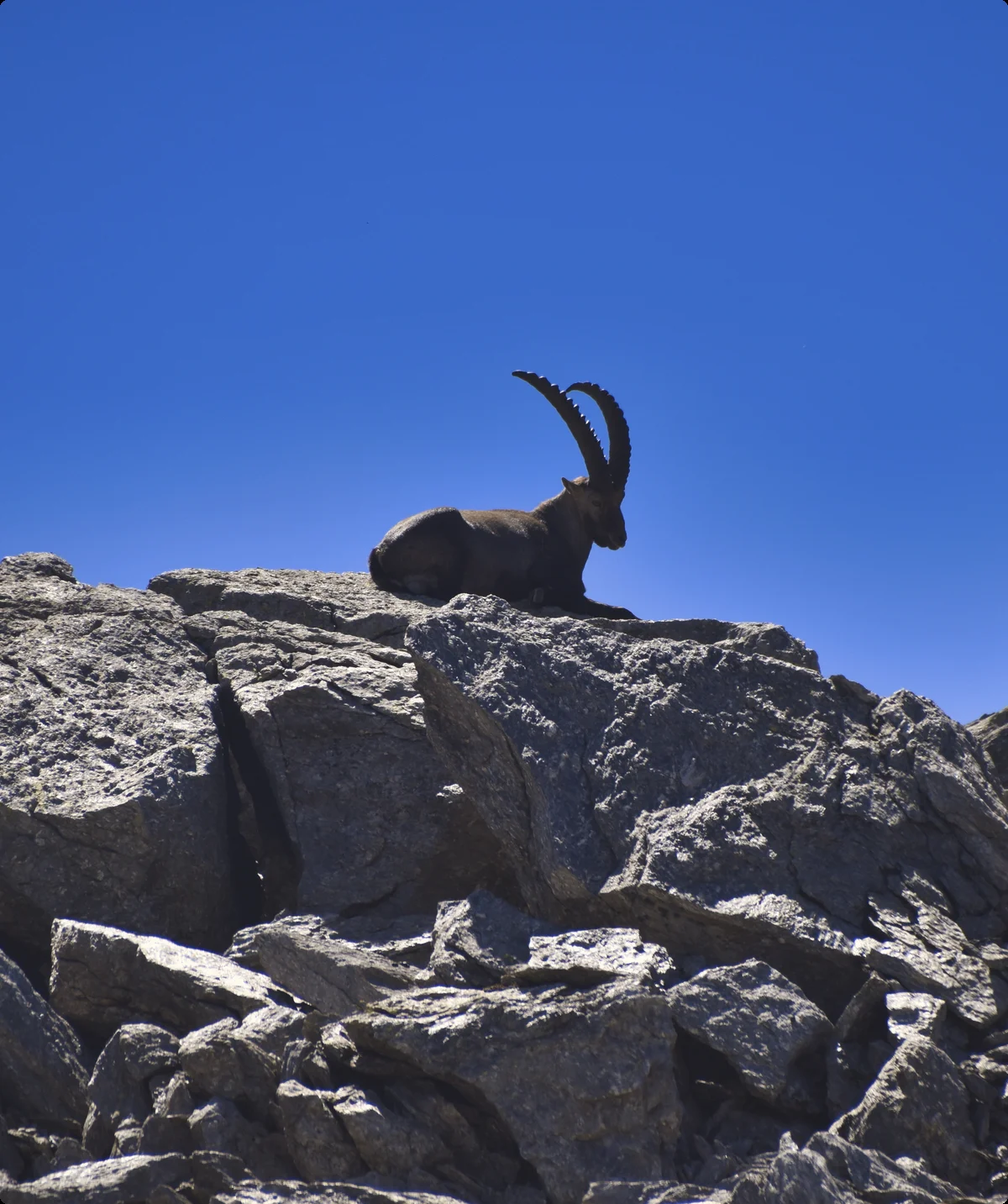 GTA | © Petra Fleischer