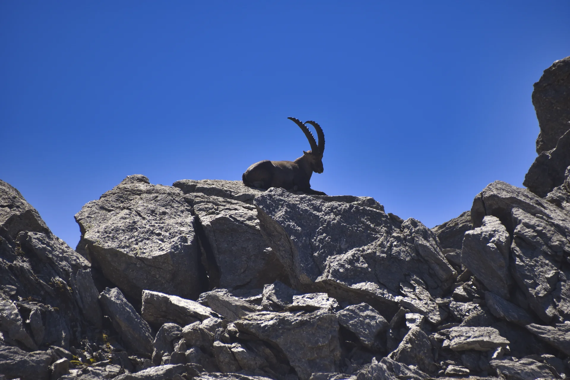 GTA | © Petra Fleischer