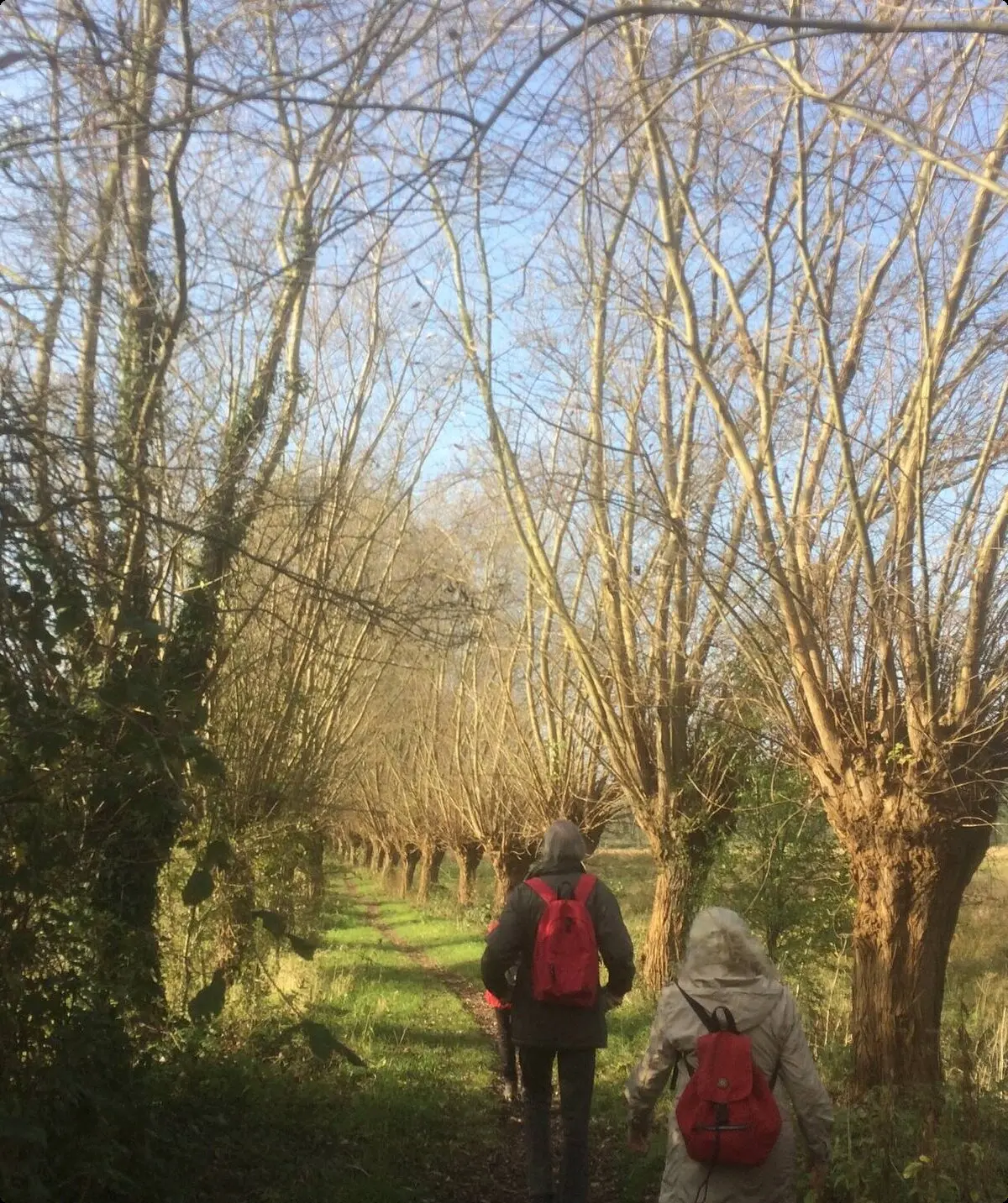 Wanderung am Datteln-Hamm-Kanal | © Klaus Dieter Gesk