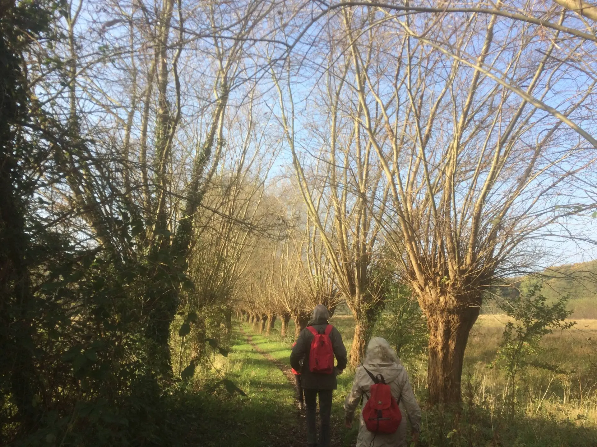 Wanderung am Datteln-Hamm-Kanal | © Klaus Dieter Gesk