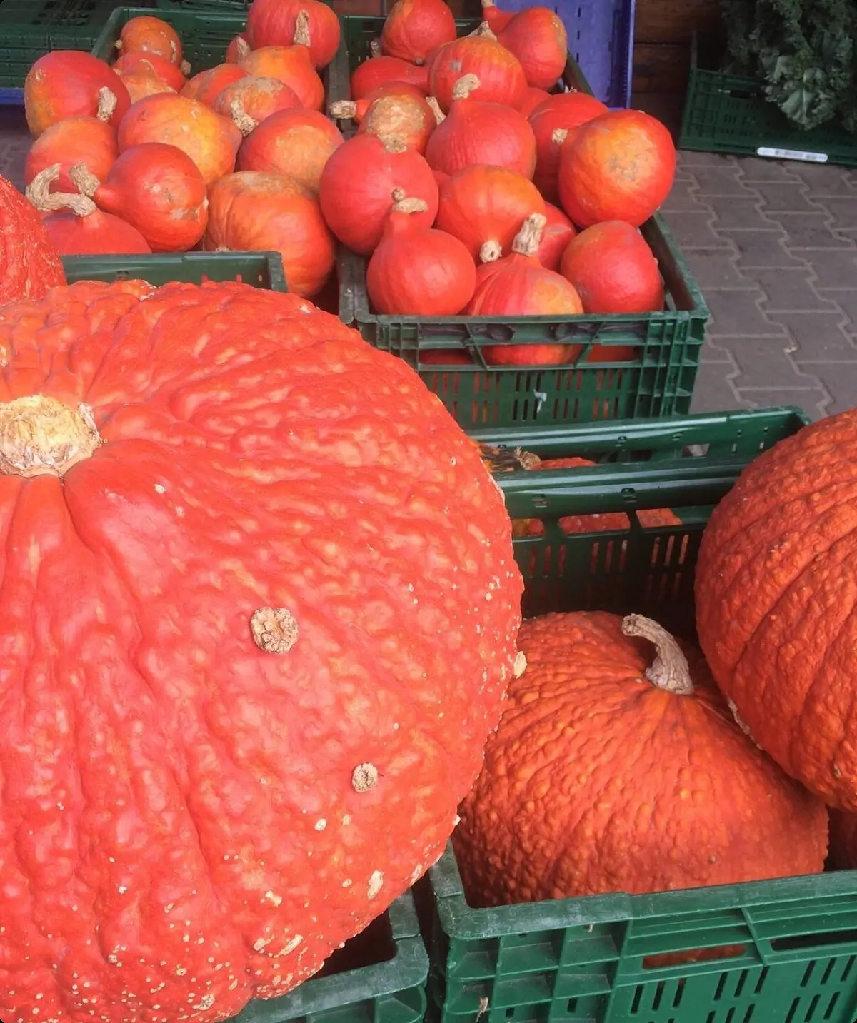 Wanderung am Datteln-Hamm-Kanal | © Klaus Dieter Gesk