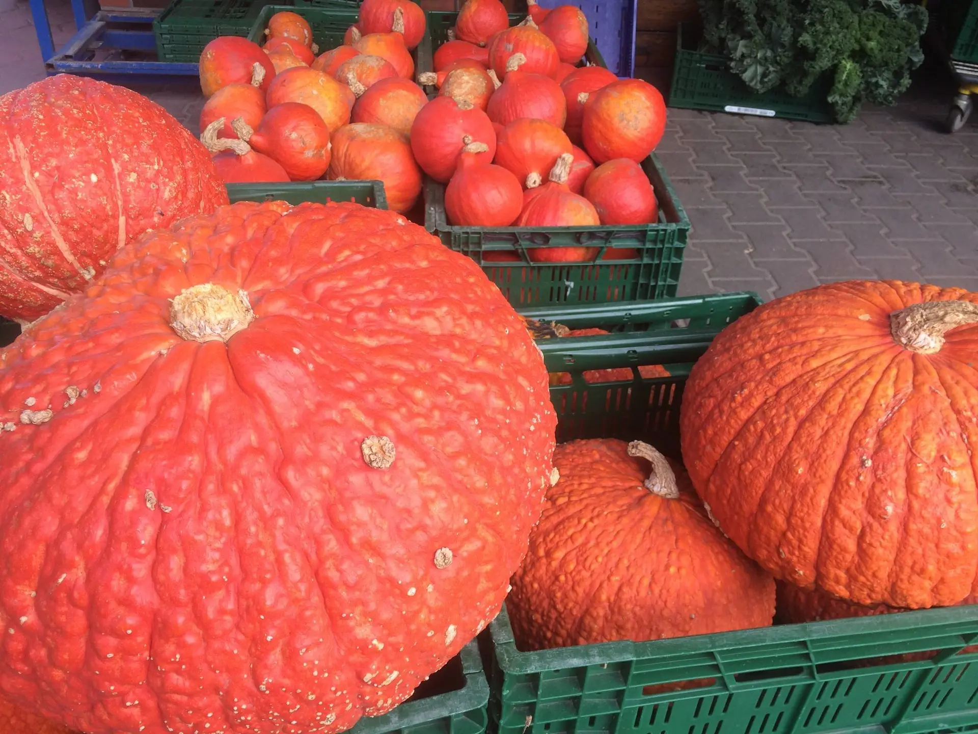 Wanderung am Datteln-Hamm-Kanal | © Klaus Dieter Gesk