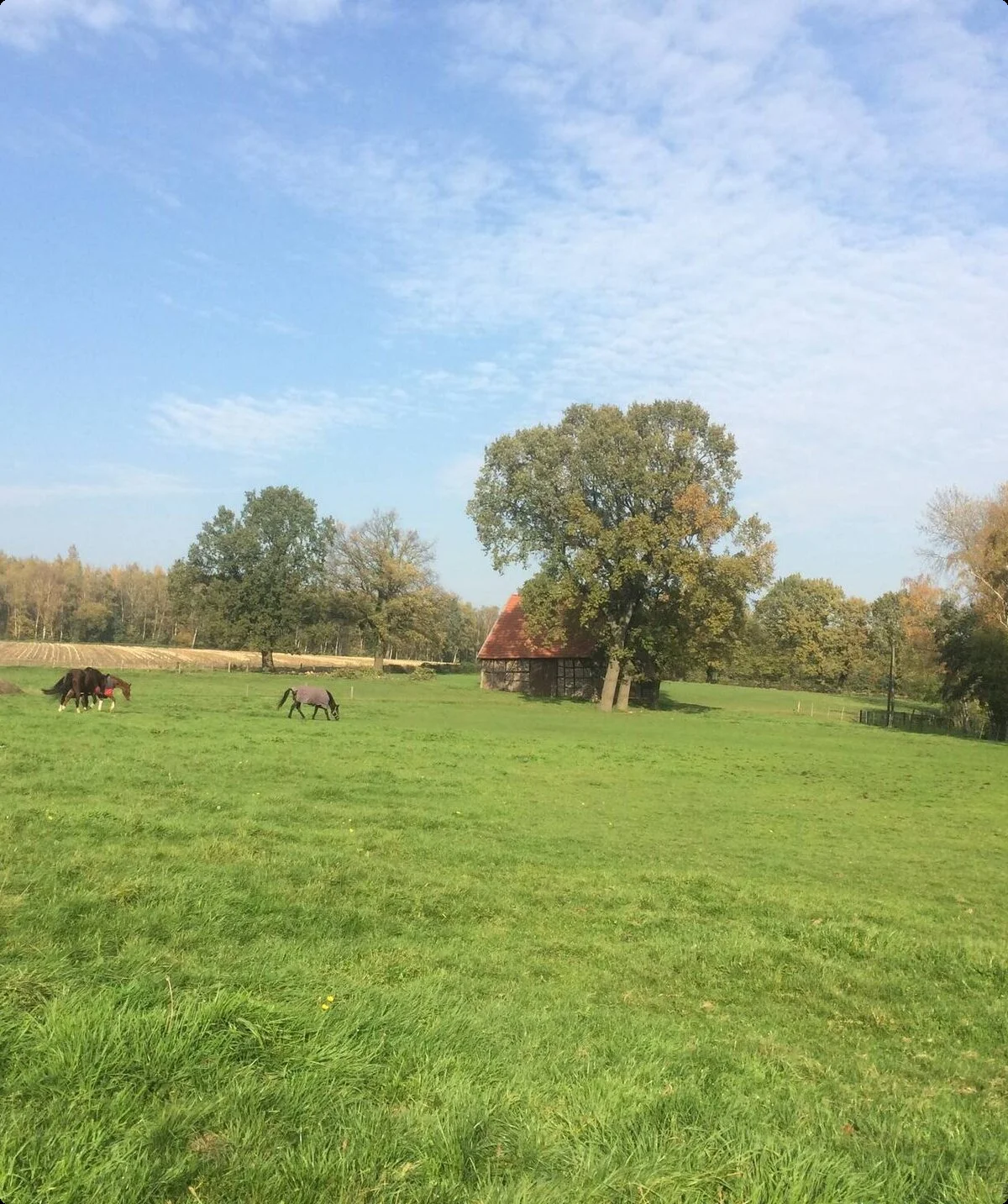 Wanderung am Datteln-Hamm-Kanal | © Klaus Dieter Gesk