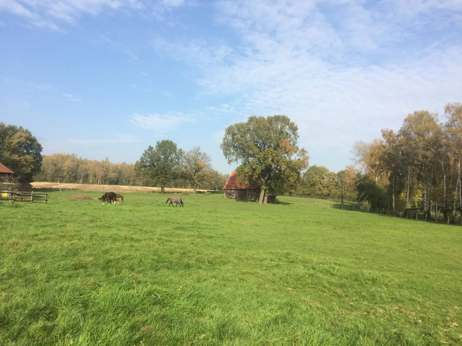 Wanderung am Datteln-Hamm-Kanal | © Klaus Dieter Gesk