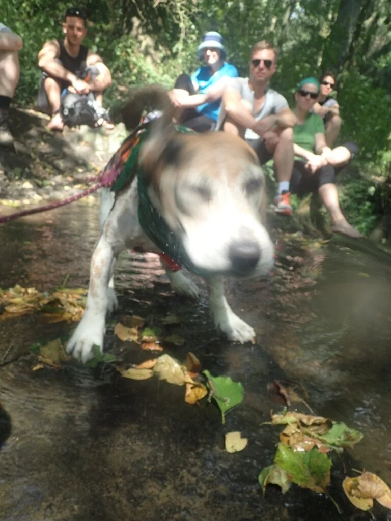 Jung(geblieben)e Wandergruppe | © Carina Brust