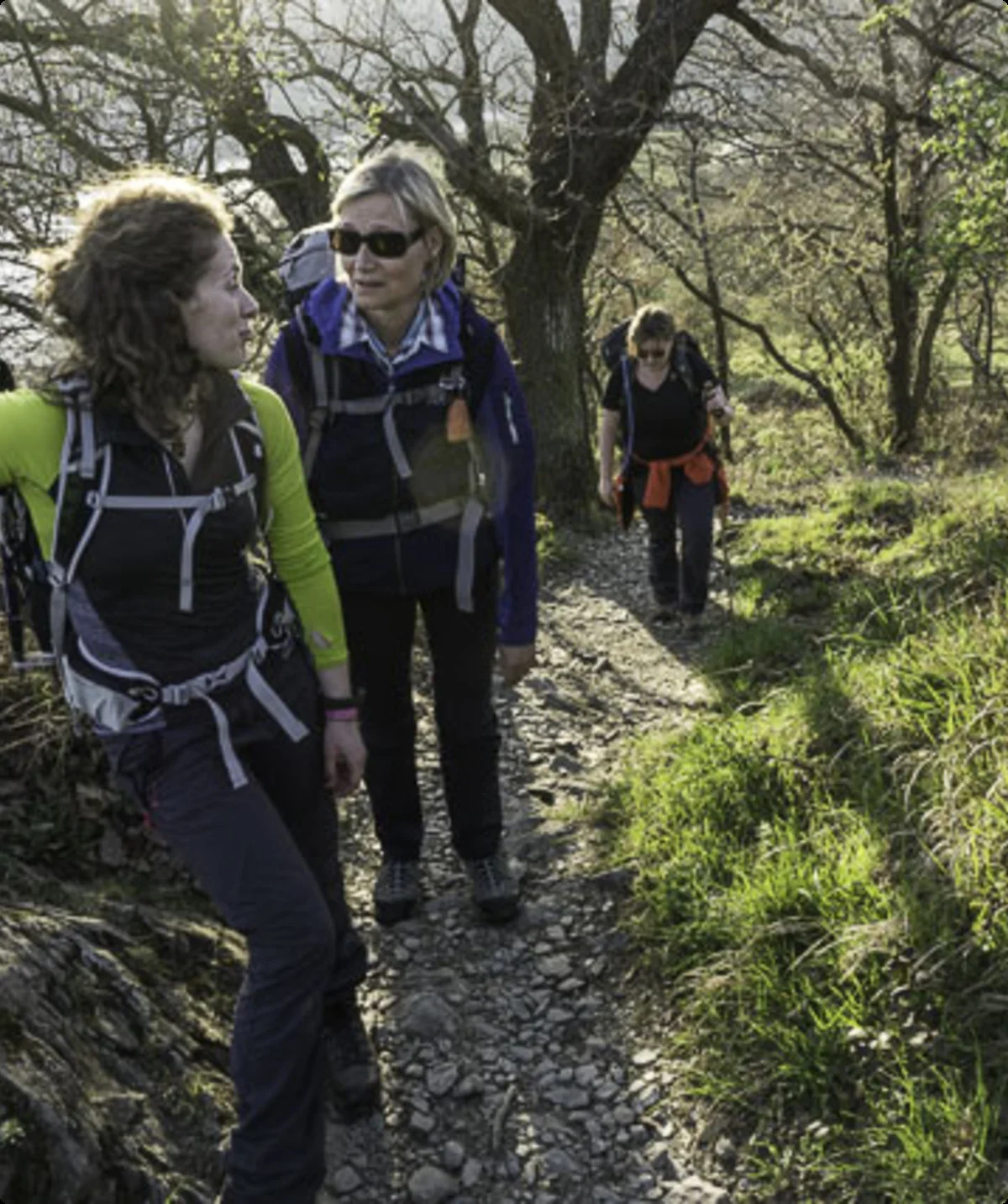 Rheinsteig, nochmals hoch | © Manfred Terhaer