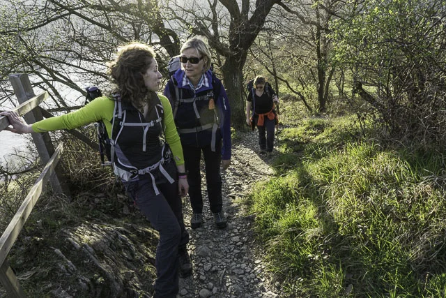 Rheinsteig, nochmals hoch | © Manfred Terhaer