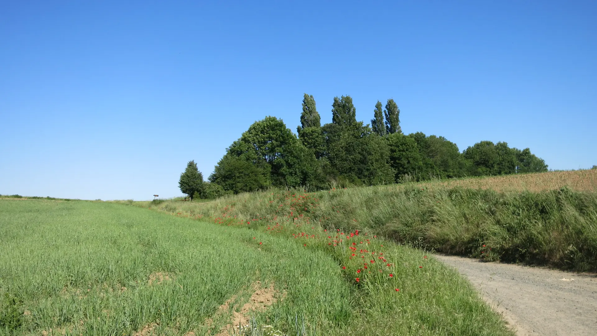 Bonn Wanderweg | © Holger Rüsberg