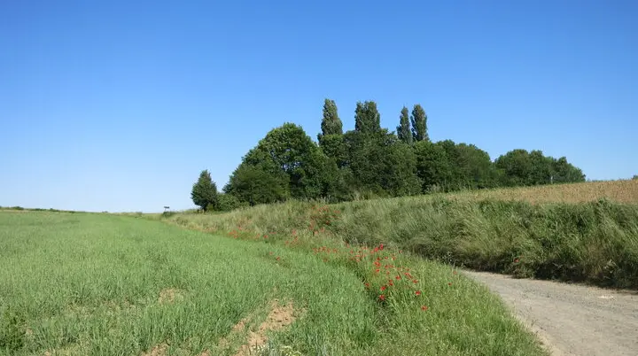 Bonn Wanderweg | © Holger Rüsberg