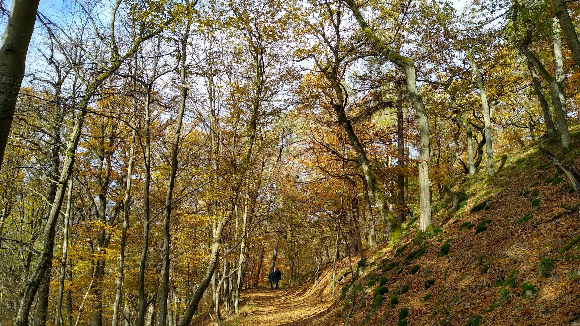 © Holger Rüsberg © Holger Rüsberg