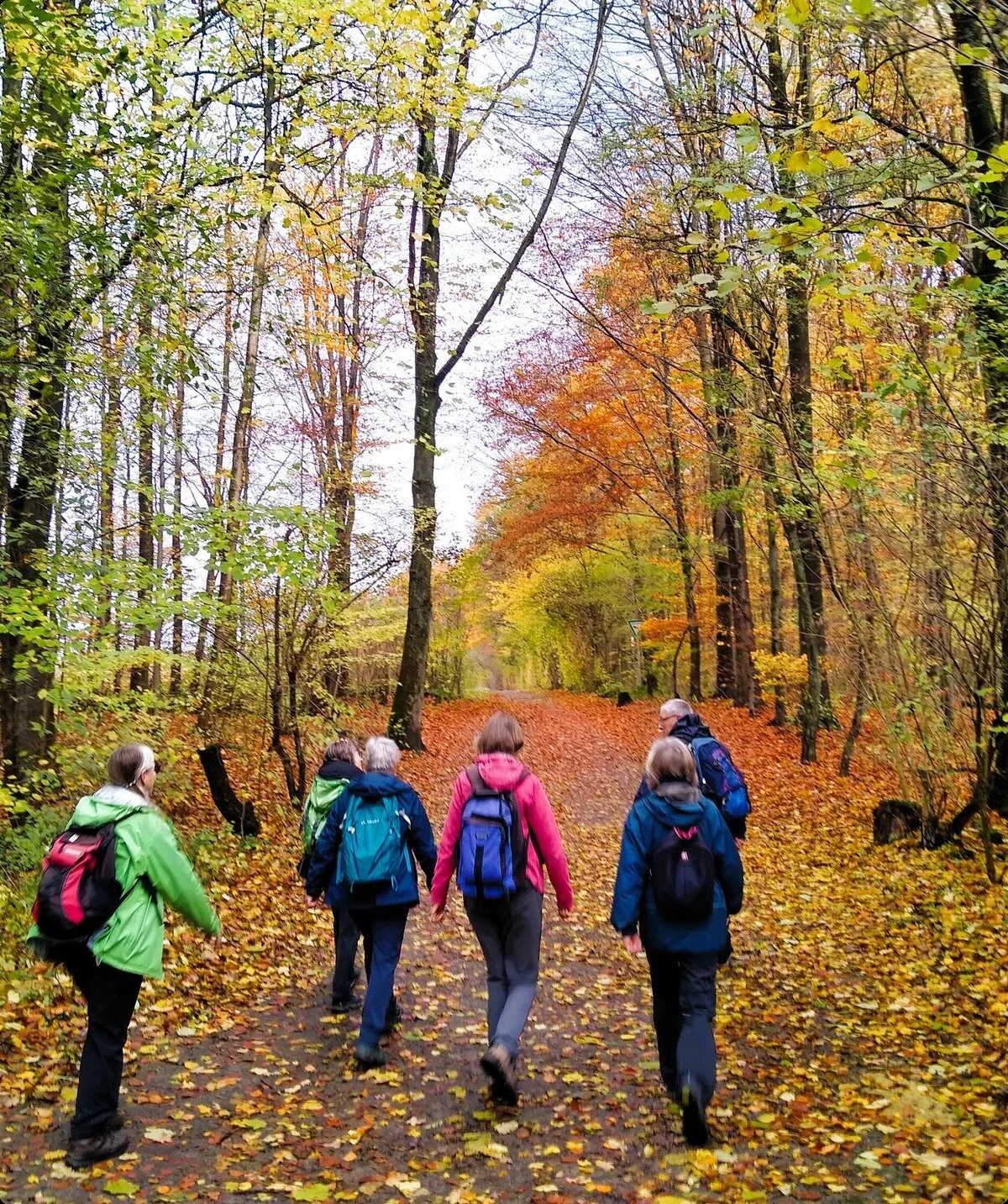 Gruppe im Herbstwald | © Holger Rüsberg