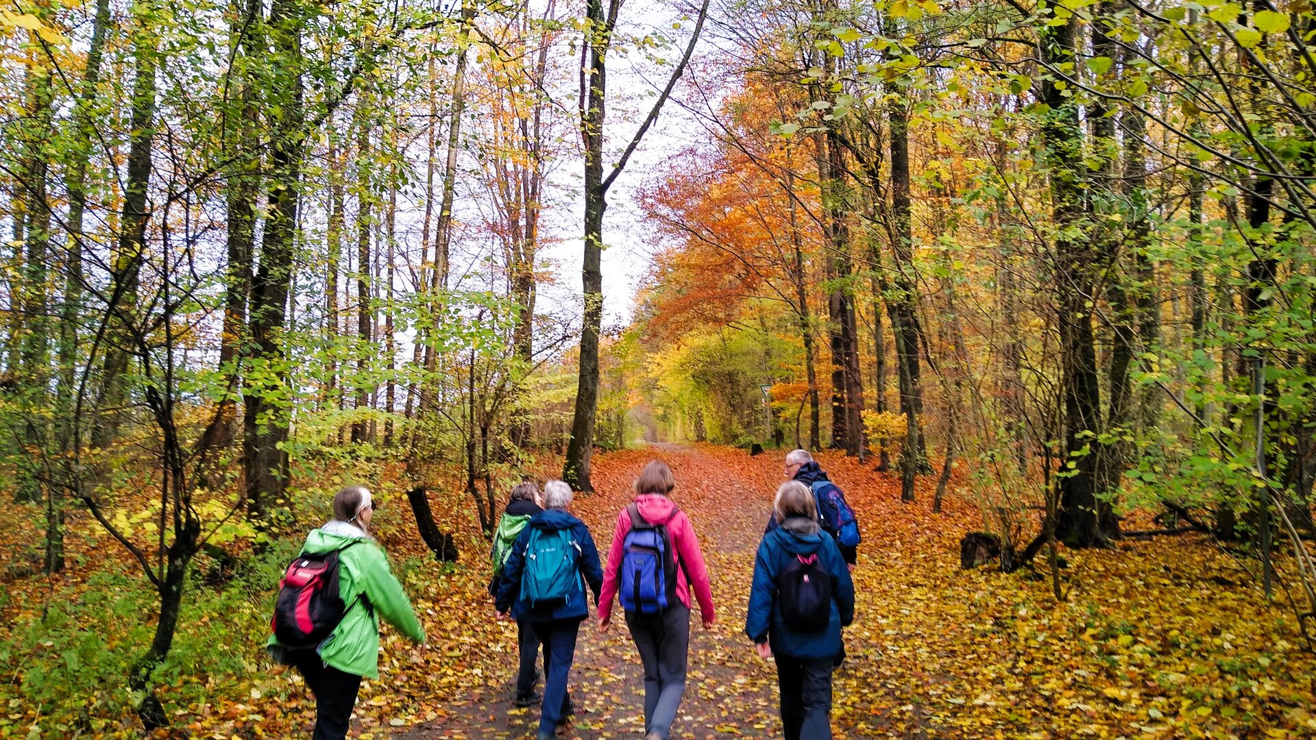 Gruppe im Herbstwald | © Holger Rüsberg Gruppe im Herbstwald | © Holger Rüsberg