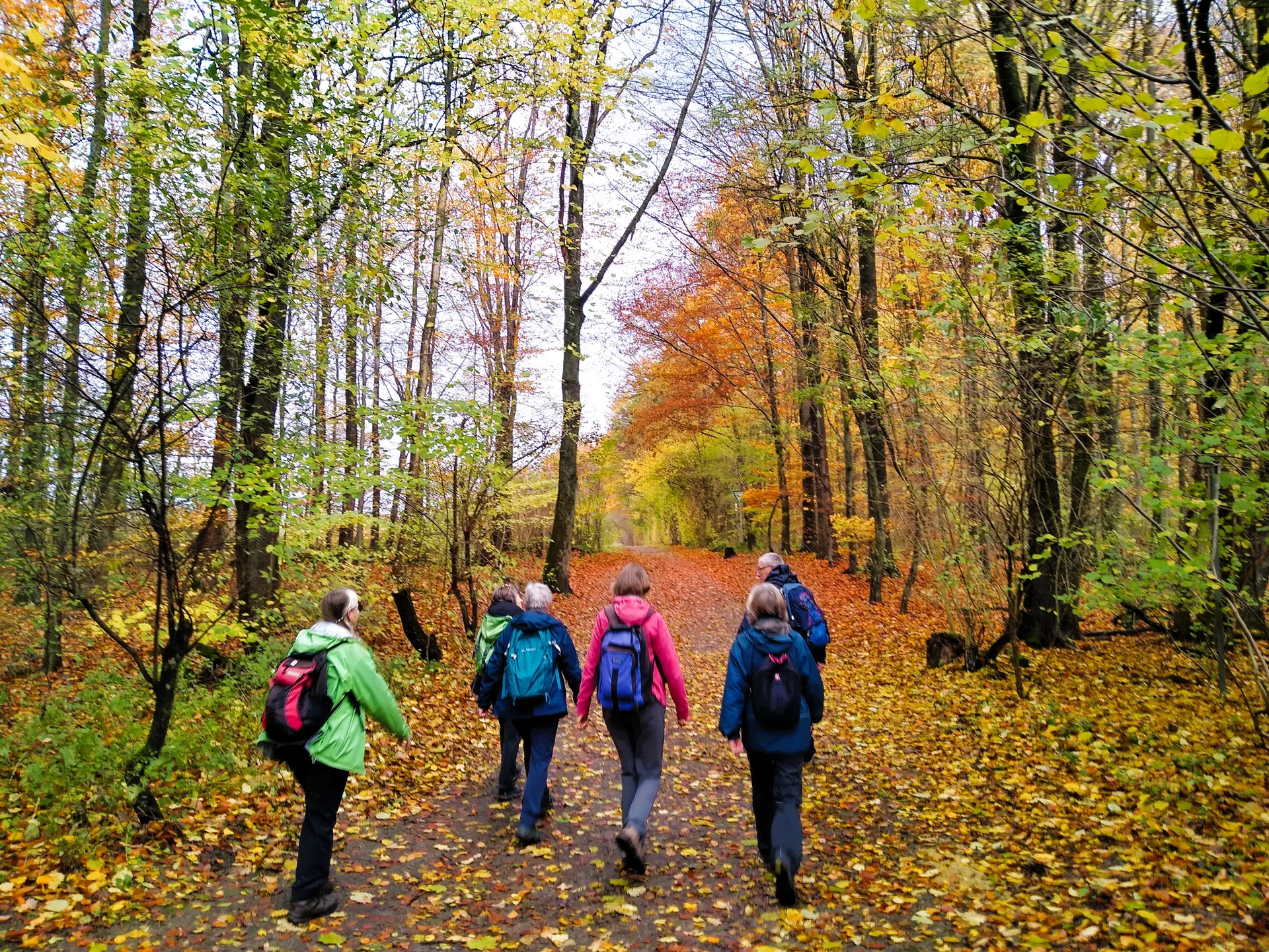 Gruppe im Herbstwald | © Holger Rüsberg