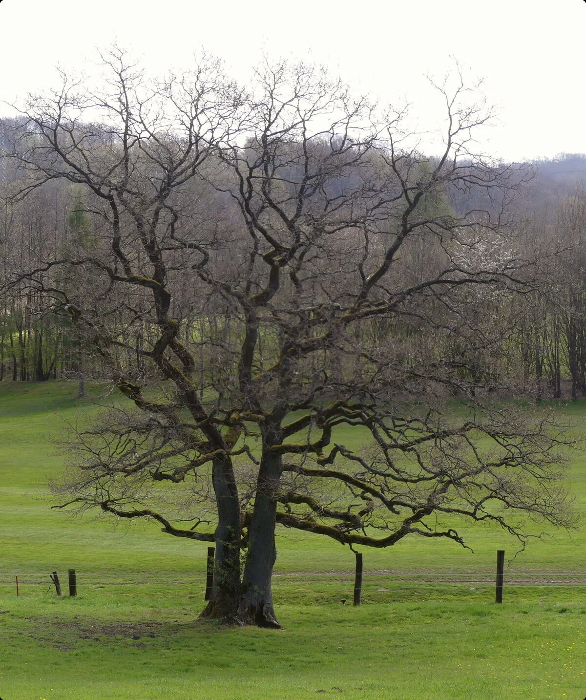 Gennebeck Landschaft | © Matthias Lucks