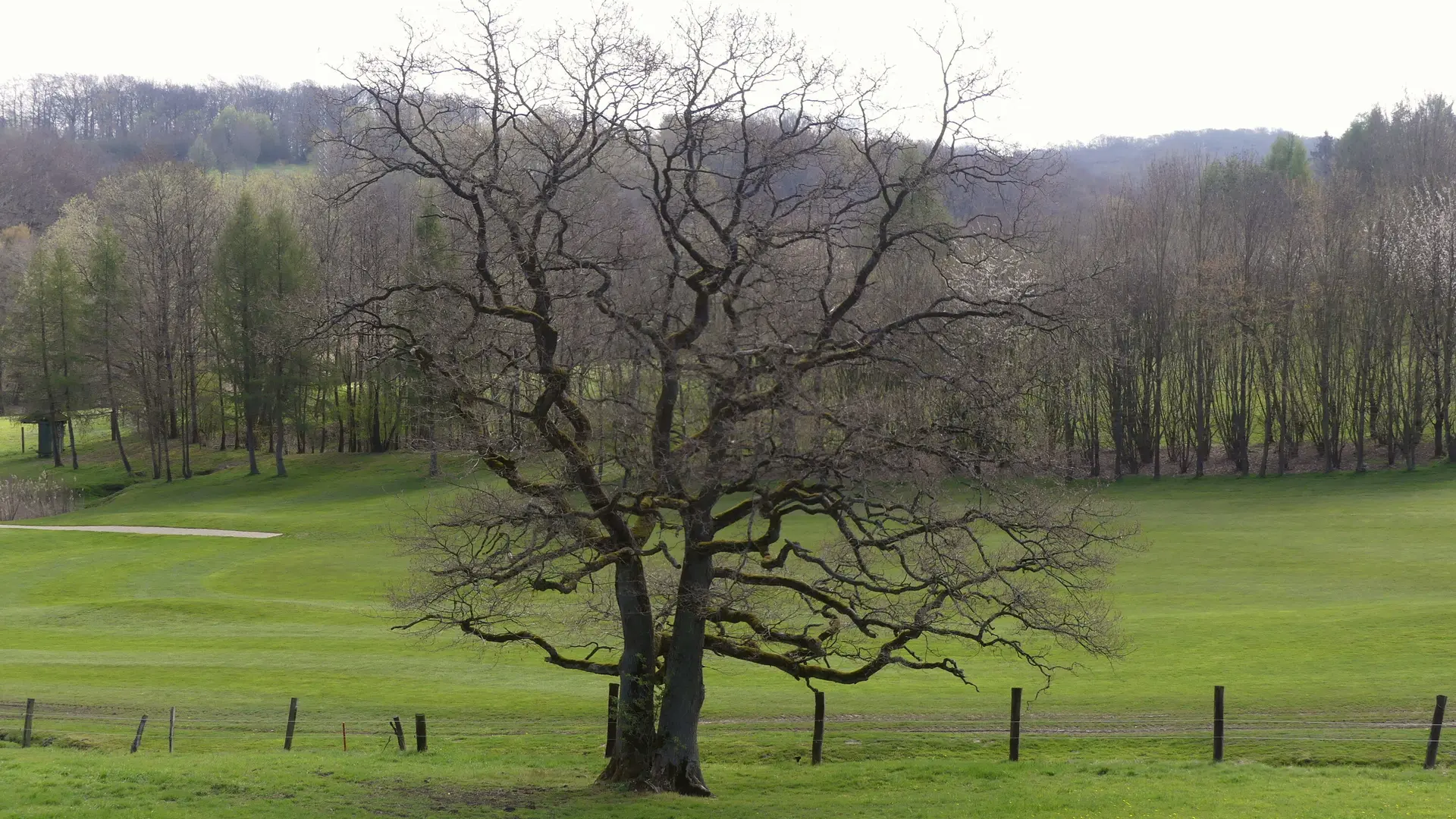Gennebeck Landschaft | © Matthias Lucks
