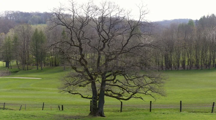 Gennebeck Landschaft | © Matthias Lucks