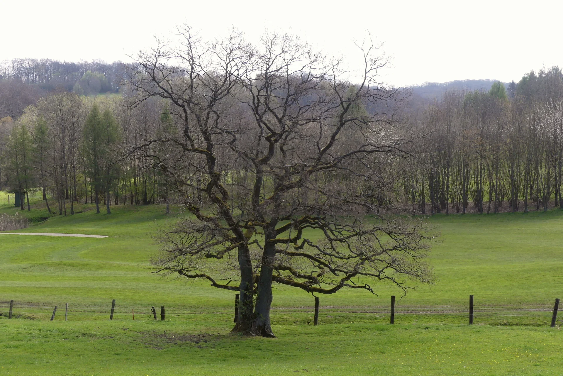 Gennebeck Landschaft | © Matthias Lucks