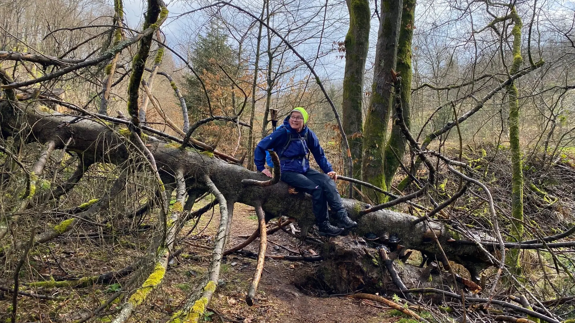 Karin klettert über Baum | © Annette Kappert
