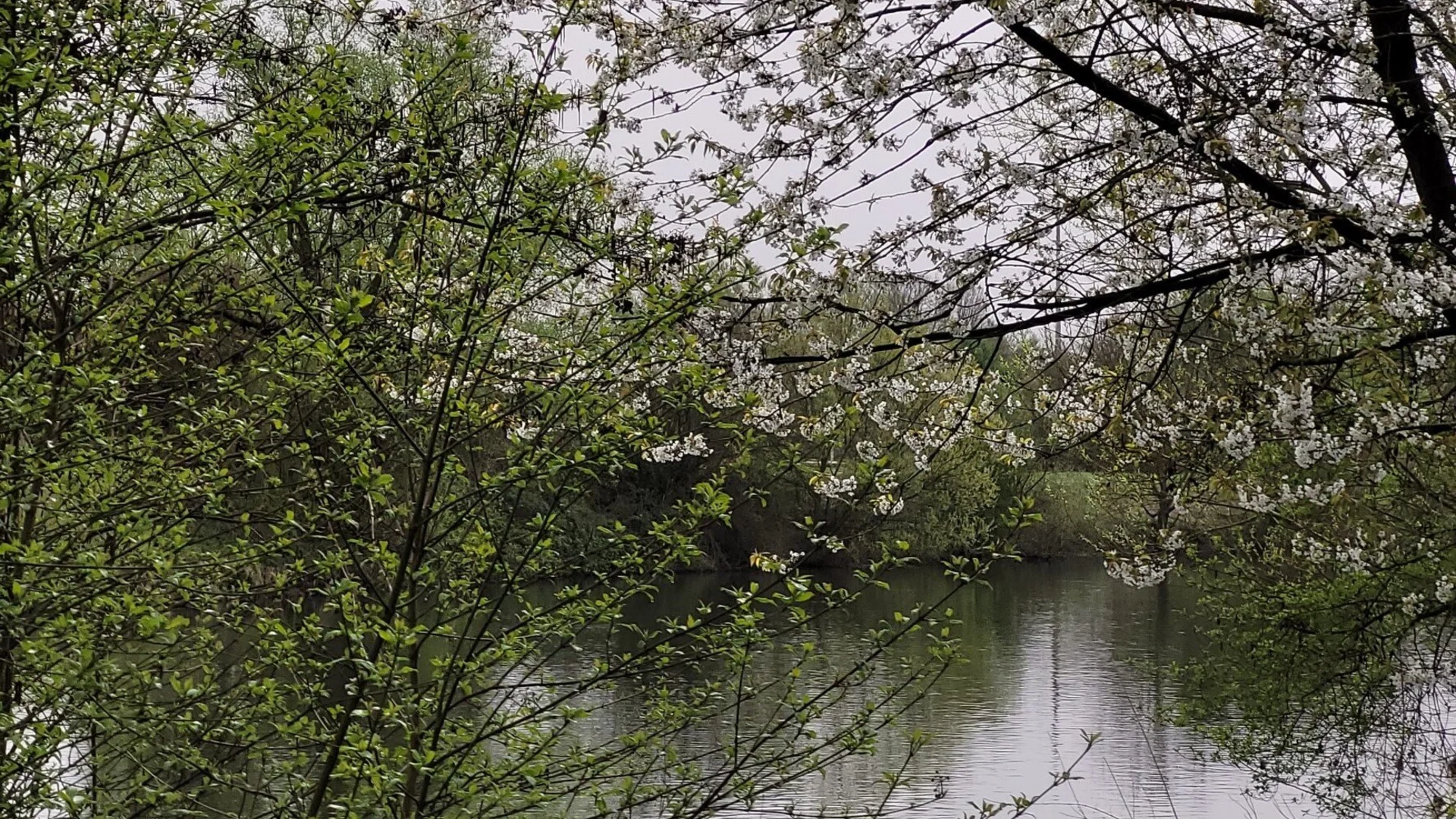 Zur Friedenskapelle | © Karin Baumeister