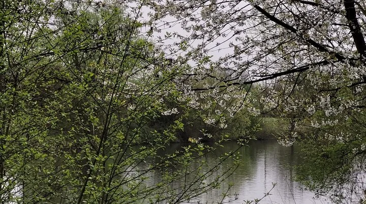 Zur Friedenskapelle | © Karin Baumeister