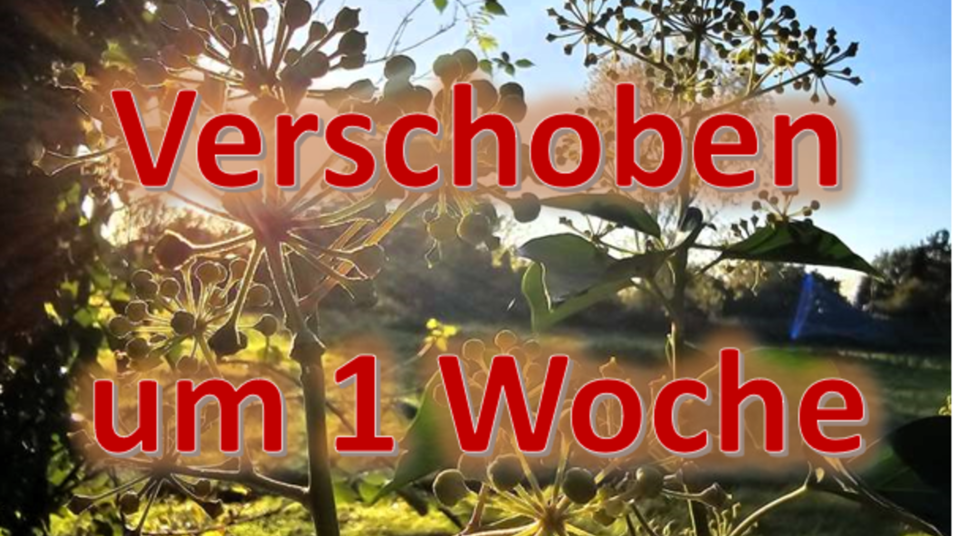 Verschoben um 1 woche | © Holger Rüsberg Verschoben um 1 woche | © Holger Rüsberg