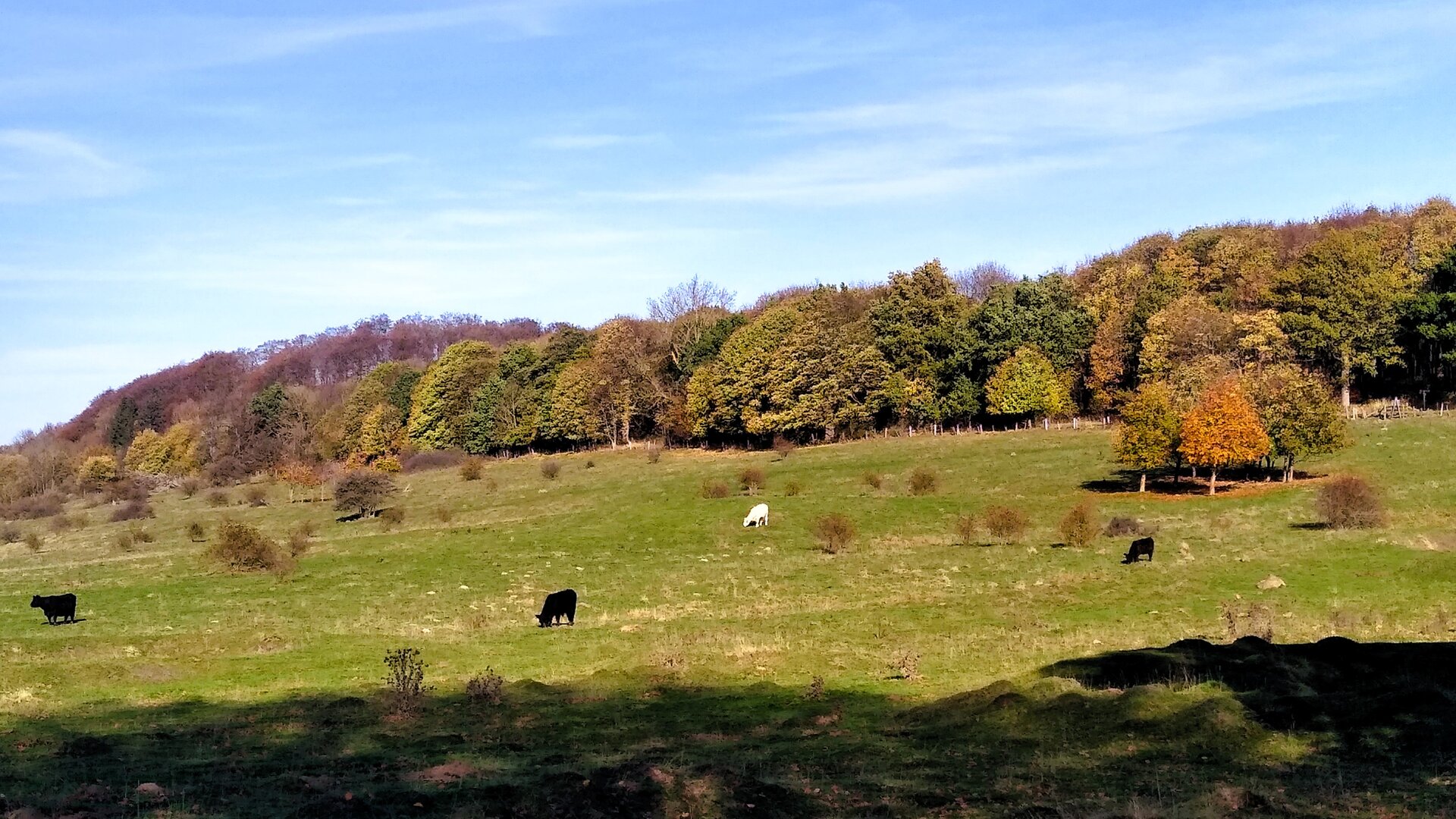 Herbst im Habichtswald | © Holger Rüsberg Herbst im Habichtswald | © Holger Rüsberg
