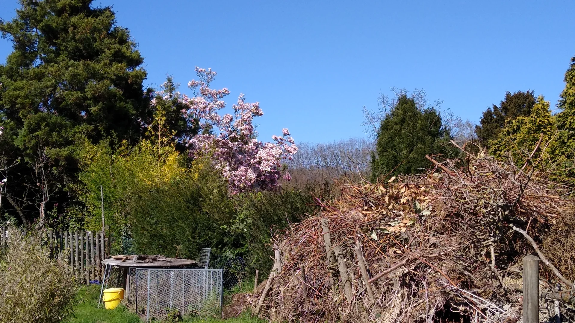 Kirsche im Mailand | © Holger Rüsberg