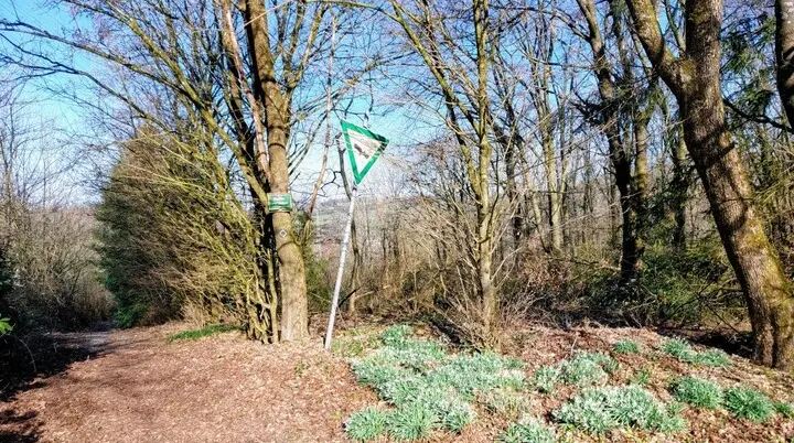 Schneeglöckchen | © Holger Rüsberg