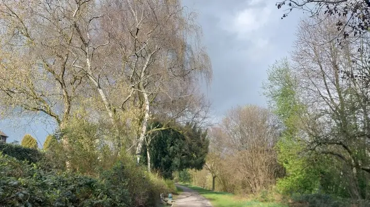März Dürerpark | © Holger Rüsberg
